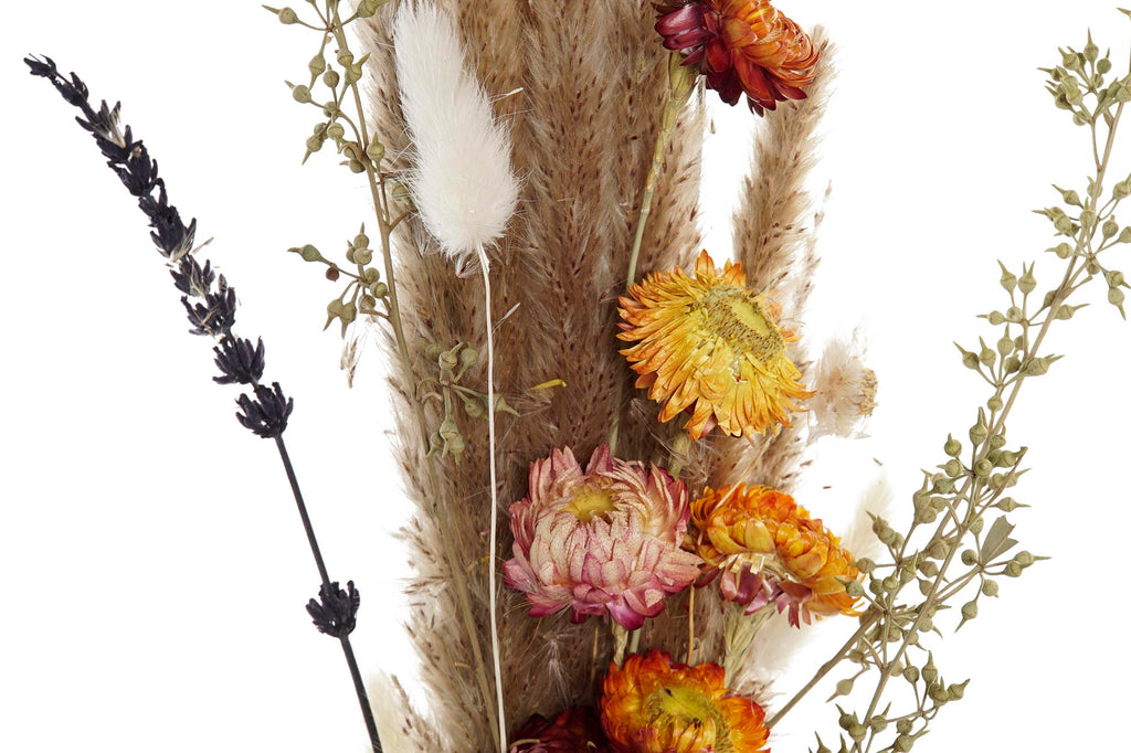 PACK DE 6 RAMO FLOR SECA 8X3X55 MARRON