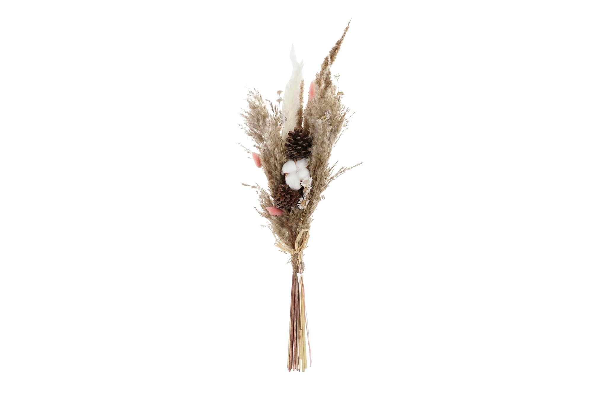 PACK DE 6 RAMO FLOR SECA 10X7X56 MARRON