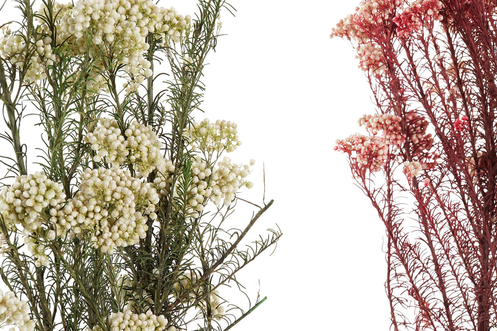 PACK DE 12 RAMO FLOR SECA 11X3X72 FLOR DE ARROZ 2 SURT.