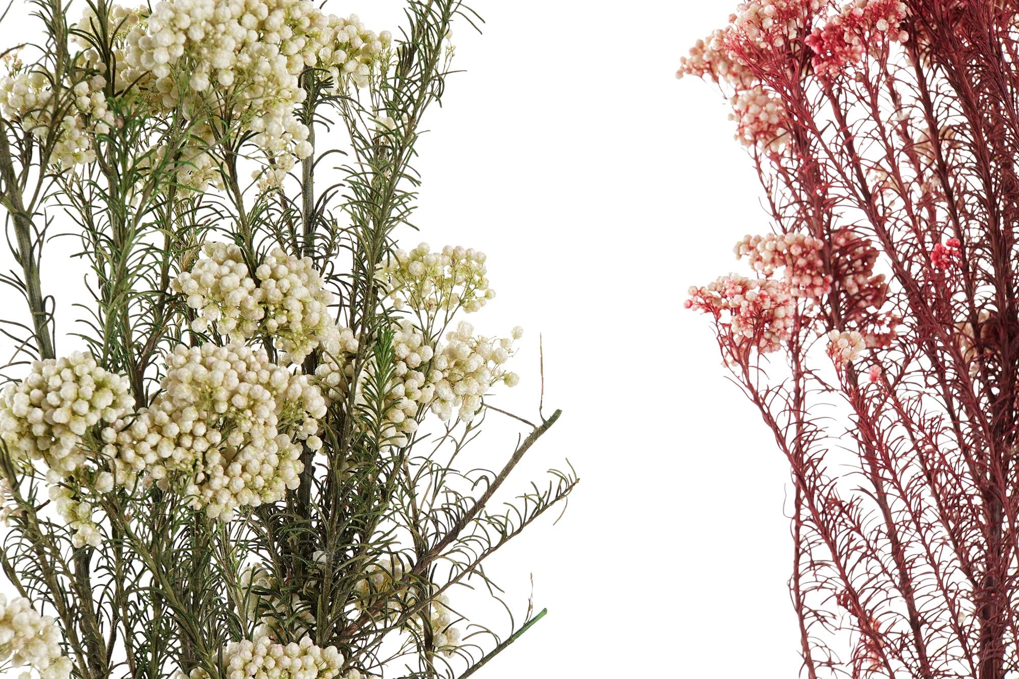 PACK DE 12 RAMO FLOR SECA 11X3X72 FLOR DE ARROZ 2 SURT.