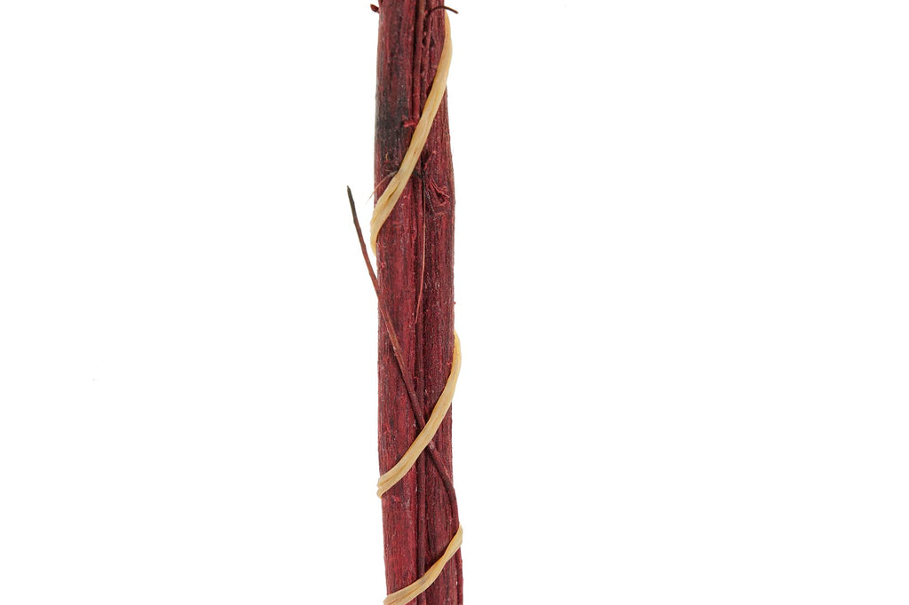 PACK DE 12 RAMO FLOR SECA 11X3X72 FLOR DE ARROZ 2 SURT.