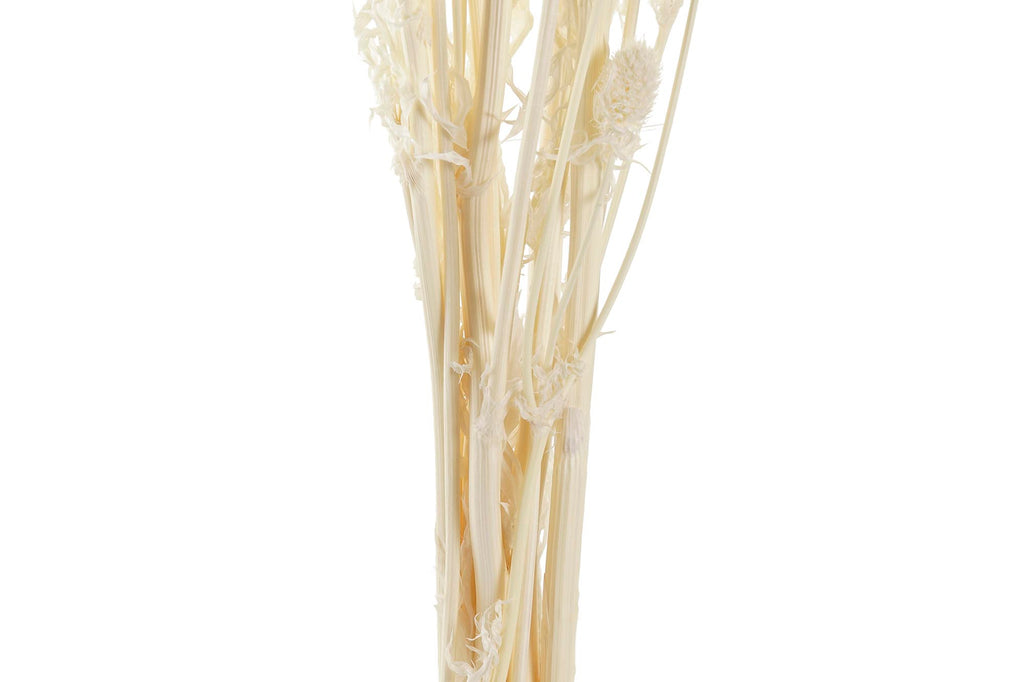 PACK DE 12 RAMO FLOR SECA 15X15X65 PRISTIMERA CREMA