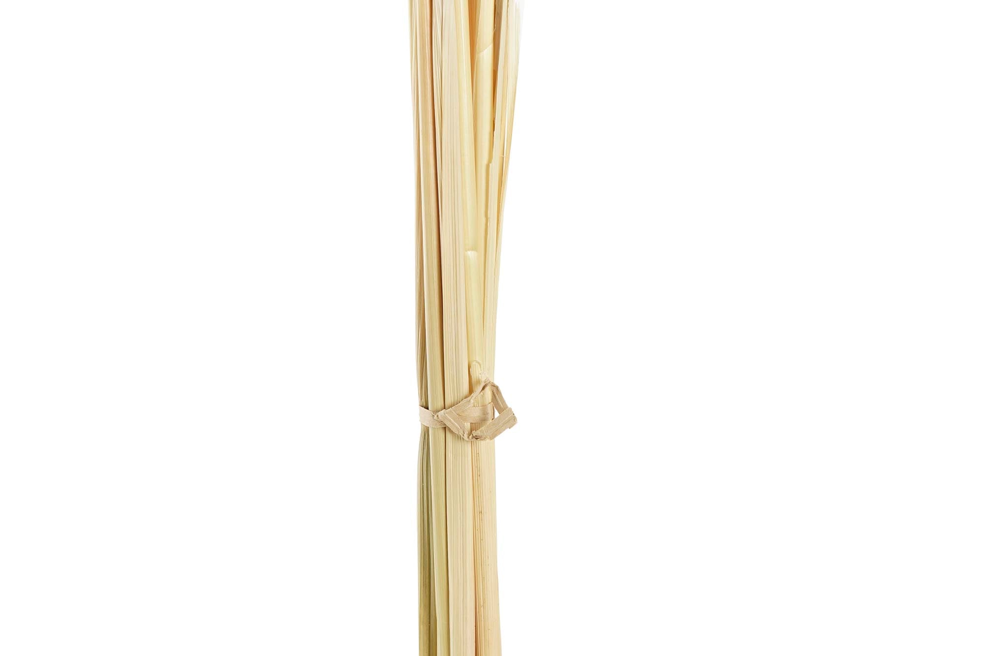 PACK DE 12 RAMO FLOR SECA 8X3X57 AVENA BEIGE