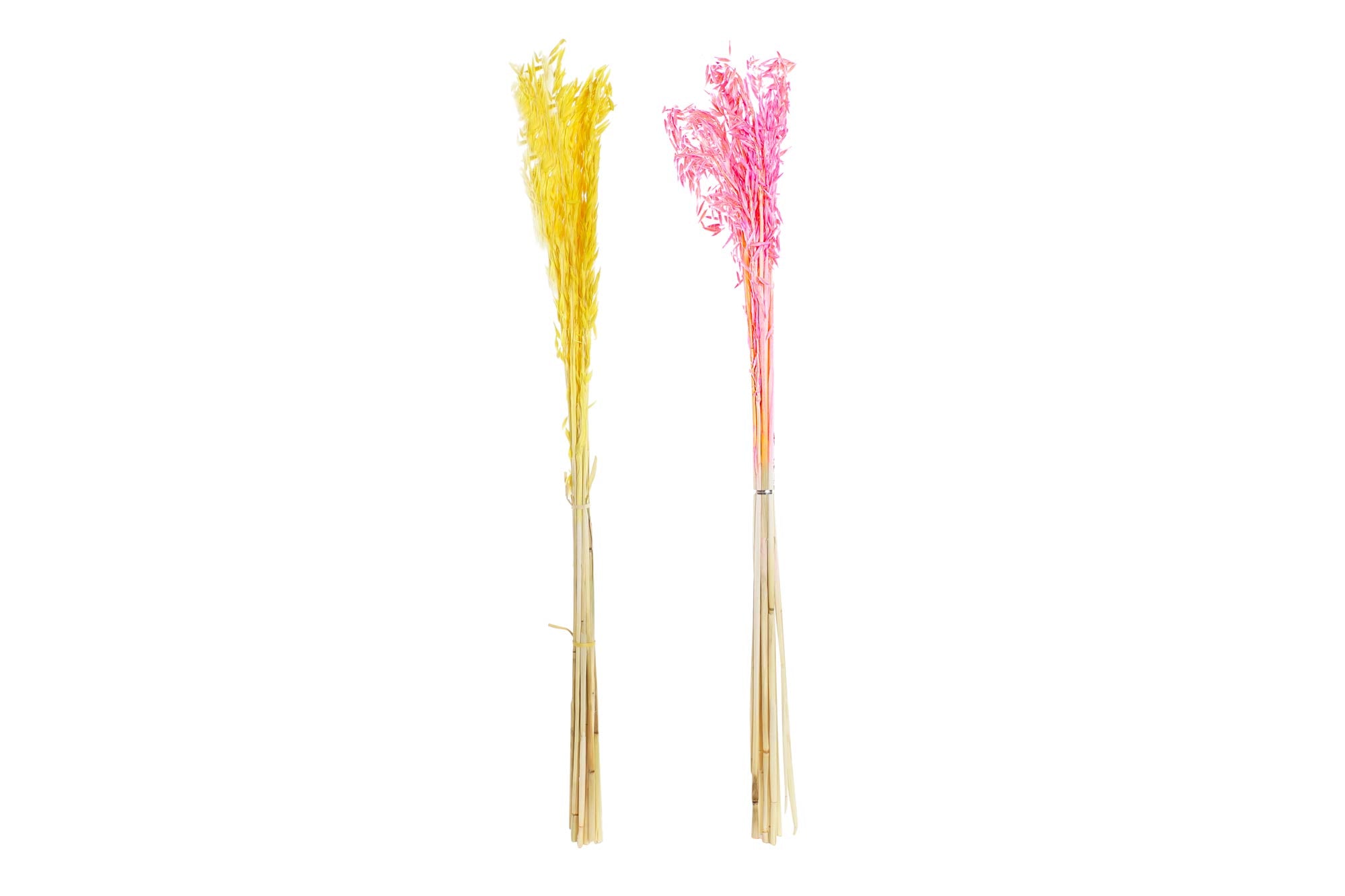 PACK DE 12 RAMA FLOR SECA 8X3X63 AVENA 2 SURT.