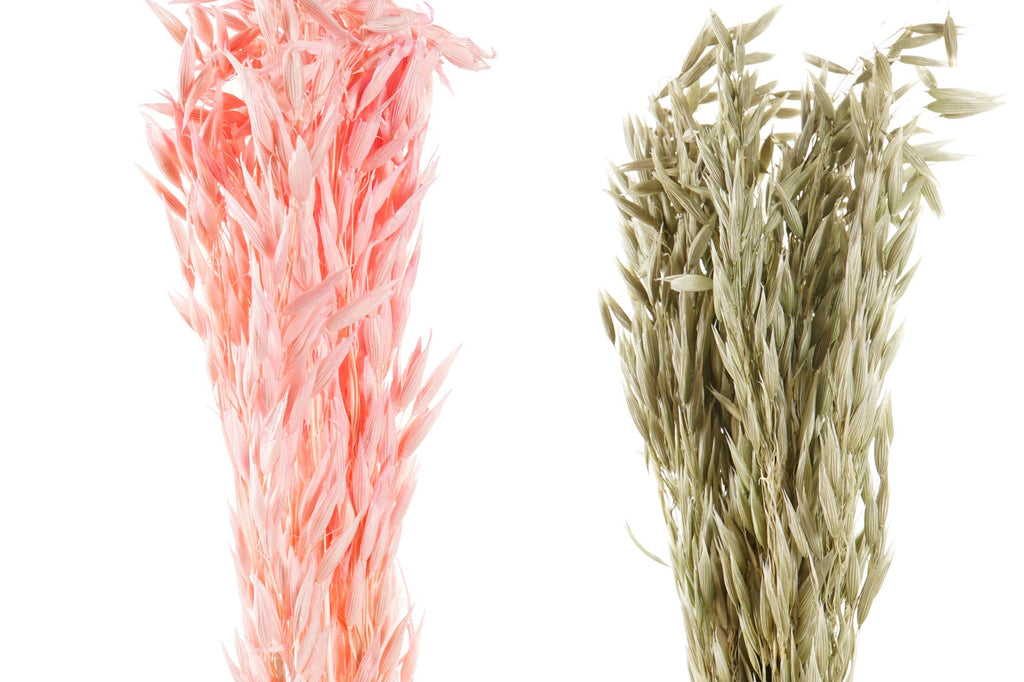 PACK DE 12 RAMA FLOR SECA 8X4X60 AVENA 2 SURT.