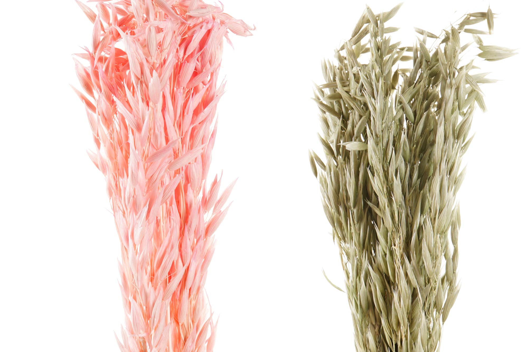 PACK DE 12 RAMA FLOR SECA 8X4X60 AVENA 2 SURT.