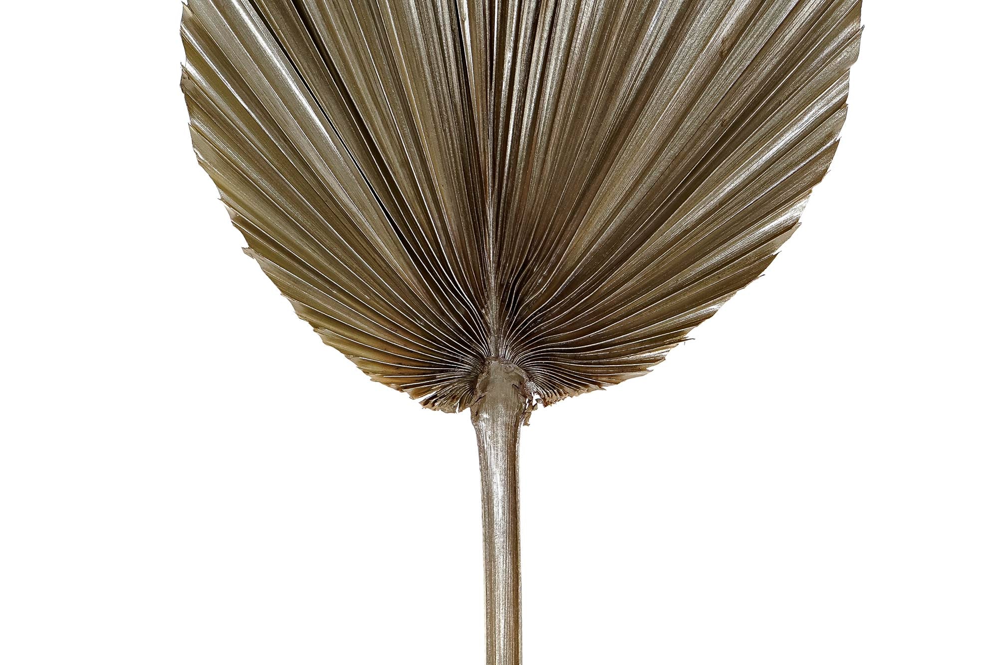 PACK DE 12 RAMA HOJA DE PALMERA 27X2X150 BRILLANTE