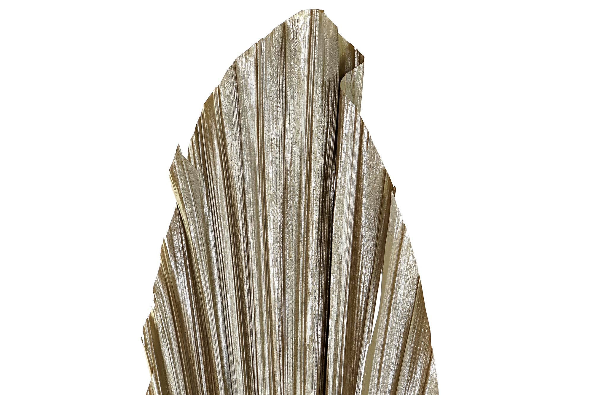 PACK DE 12 RAMA HOJA DE PALMERA 27X2X150 BRILLANTE