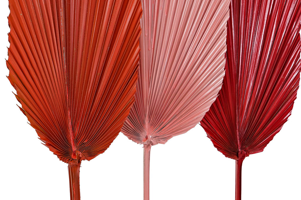 PACK DE 12 RAMA HOJA DE PALMERA 22X2X148 3 SURT.