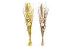 PACK DE 2 RAMO FLOR SECA 30X30X100 2 SURT.
