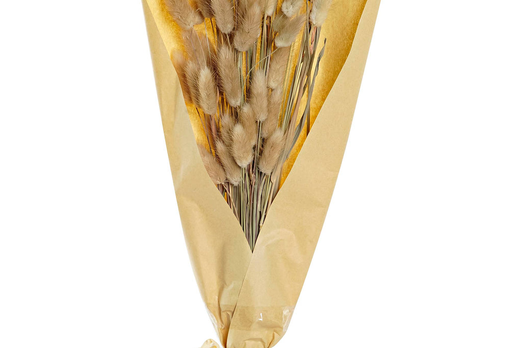 PACK DE 12 RAMO FLOR SECA 20X20X76 COLA DE CONEJO NATURAL