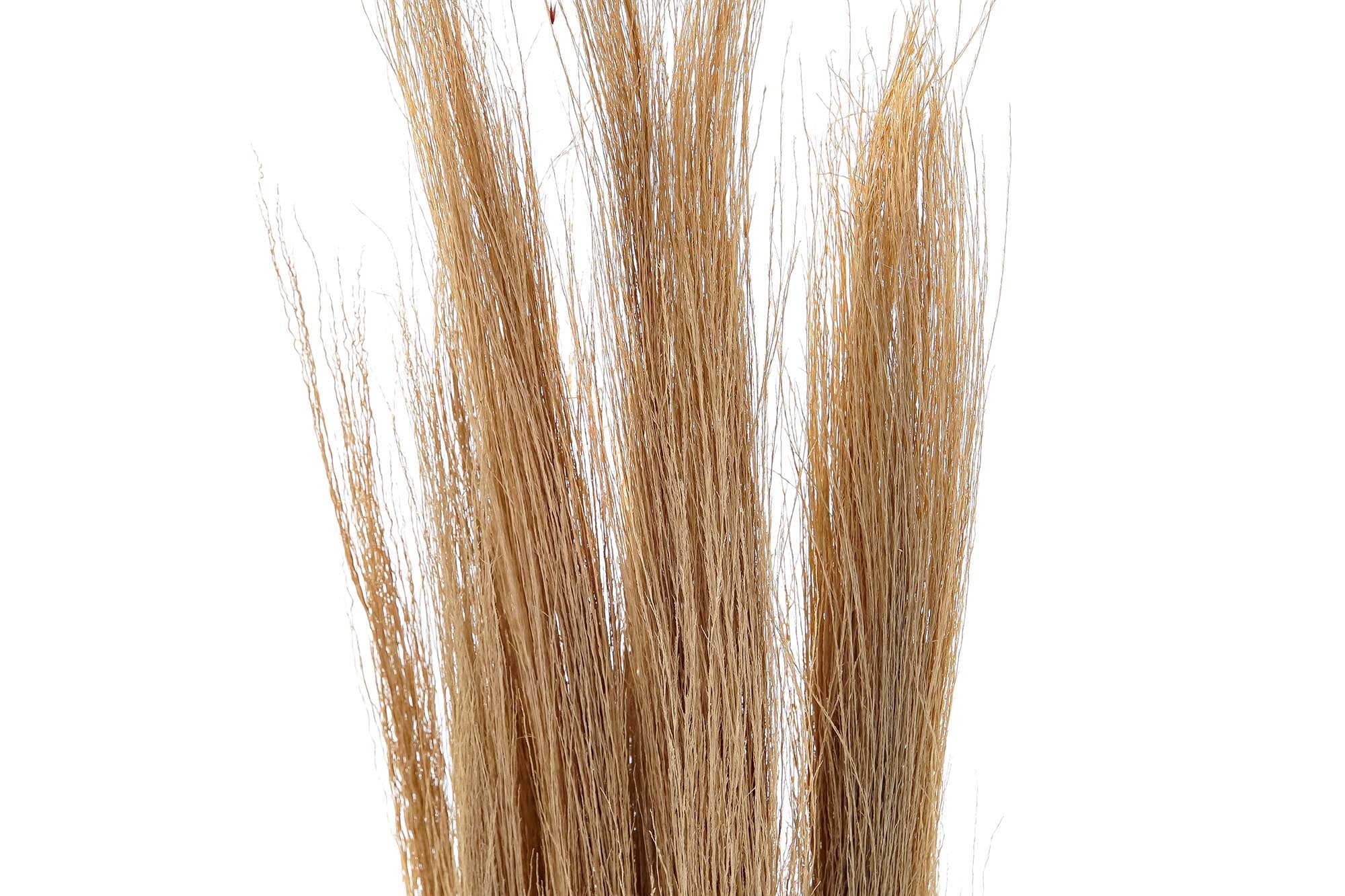 PACK DE 12 RAMO FLOR SECA 7X7X118 140G 2 SURT.