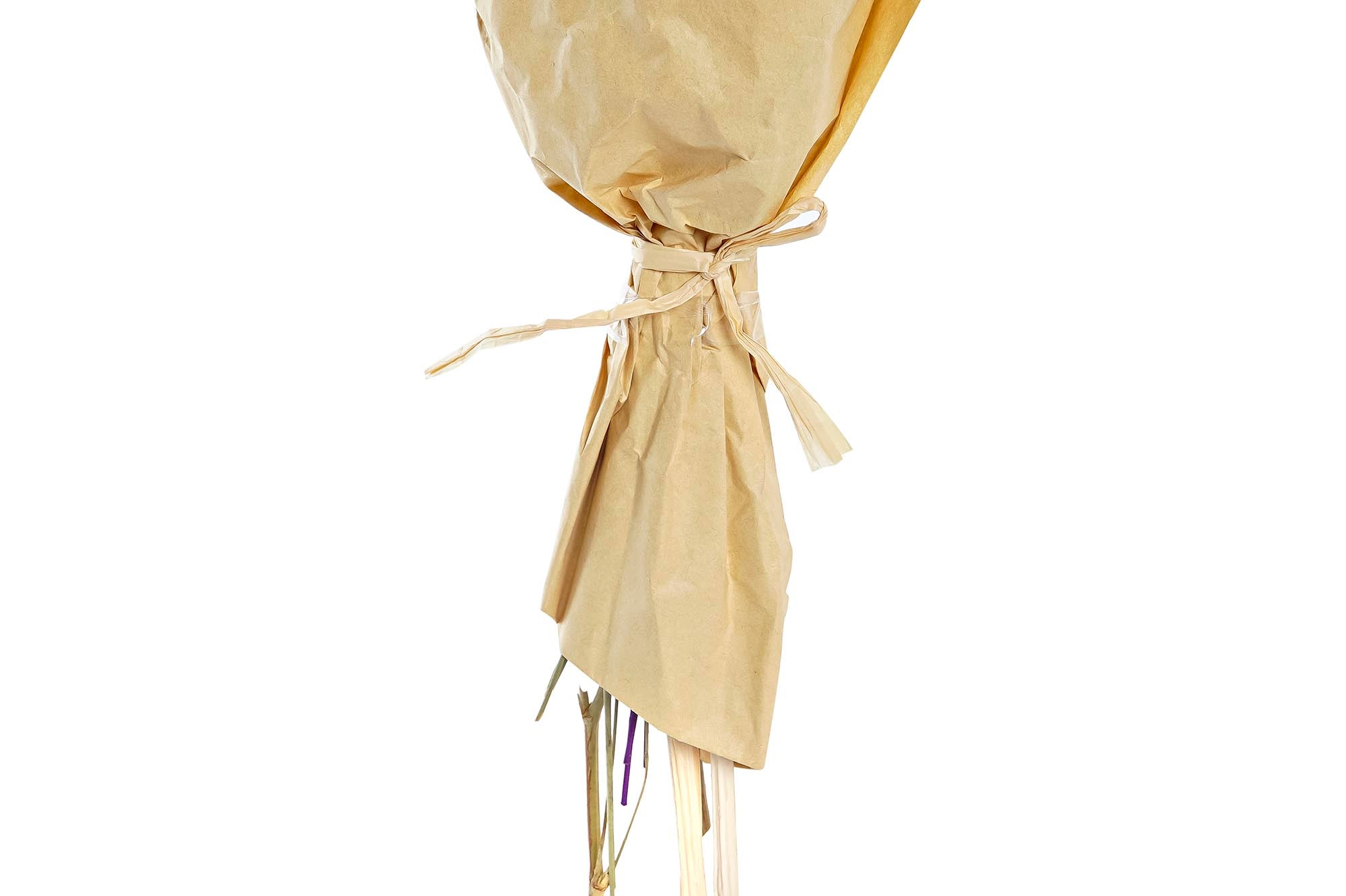 PACK DE 12 RAMO FLOR SECA 20X12X50 60GR 2 SURT.