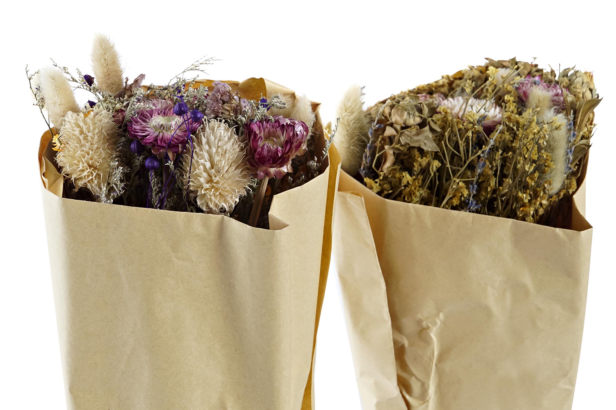 PACK DE 12 RAMO FLOR SECA 20X12X50 60GR 2 SURT.