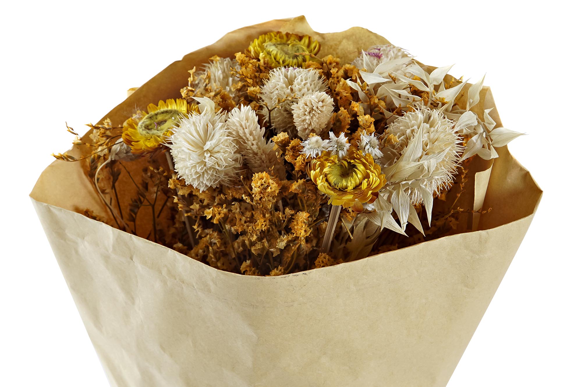 PACK DE 2 RAMO FLOR SECA 20X12X50 2 SURT.