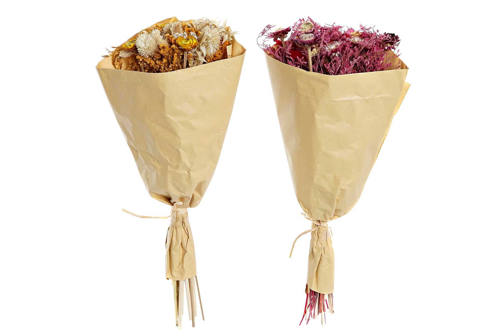 PACK DE 2 RAMO FLOR SECA 20X12X50 2 SURT.