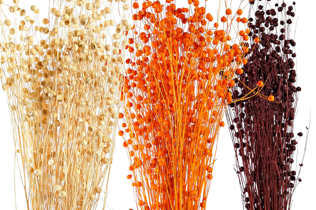 PACK DE 12 RAMO FLOR SECA 10X10X70 60 GR LINO 3 SURT.