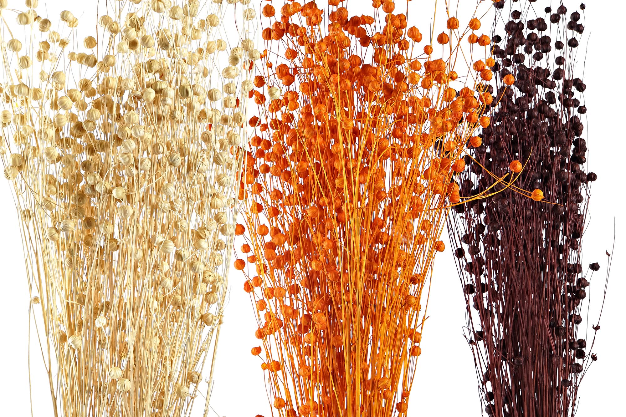 PACK DE 12 RAMO FLOR SECA 10X10X70 60 GR LINO 3 SURT.