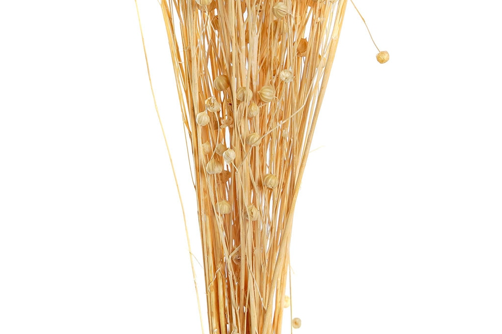 PACK DE 12 RAMO FLOR SECA 10X10X70 60 GR LINO 3 SURT.