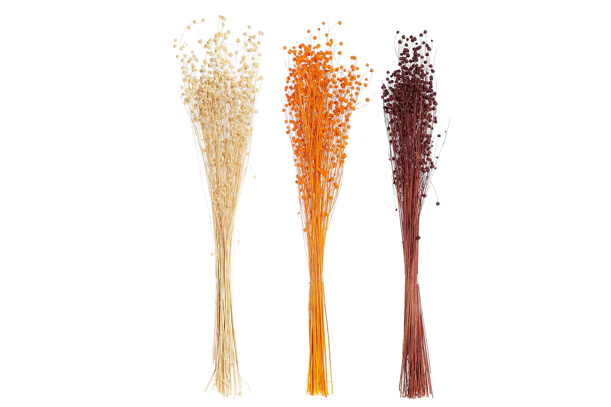 PACK DE 12 RAMO FLOR SECA 10X10X70 60 GR LINO 3 SURT.