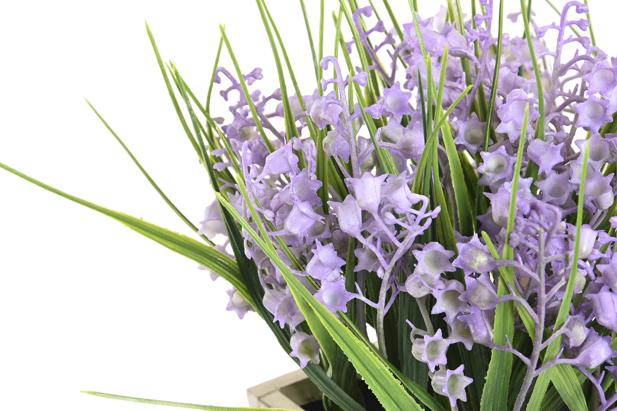 PACK DE 6 PLANTA PE MDF 24X24X24 CAMPANILLA LILA