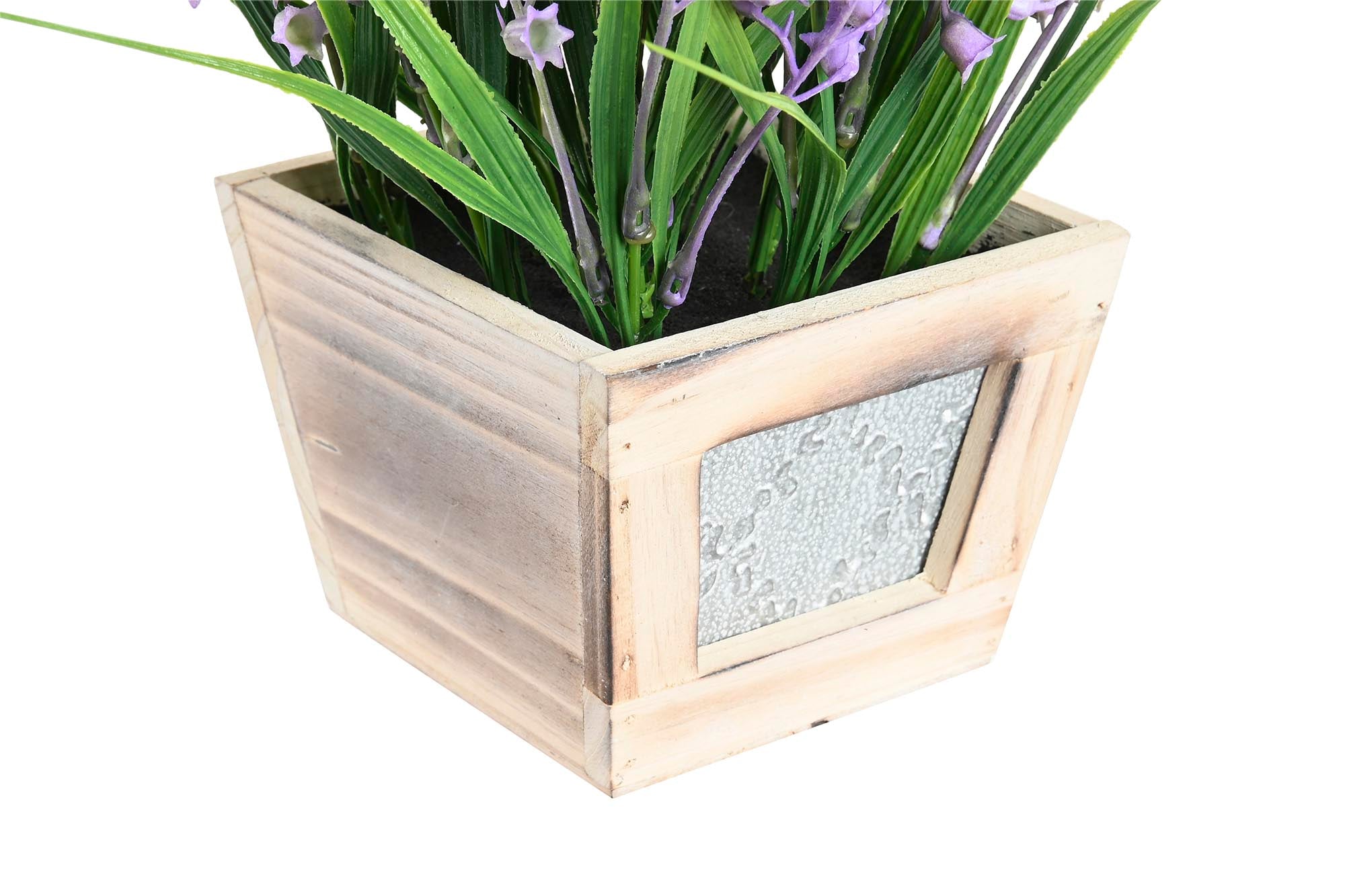 PACK DE 6 PLANTA PE MDF 24X24X24 CAMPANILLA LILA