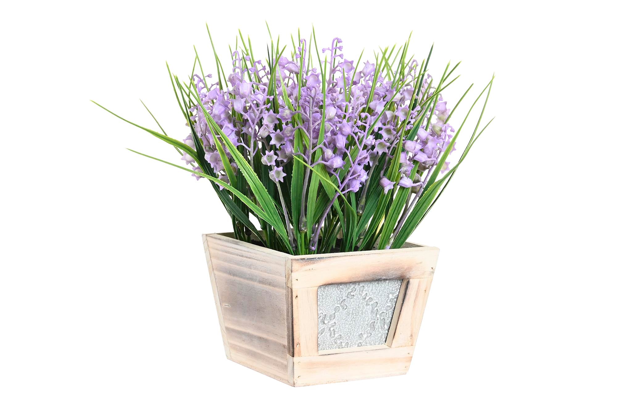 PACK DE 6 PLANTA PE MDF 24X24X24 CAMPANILLA LILA