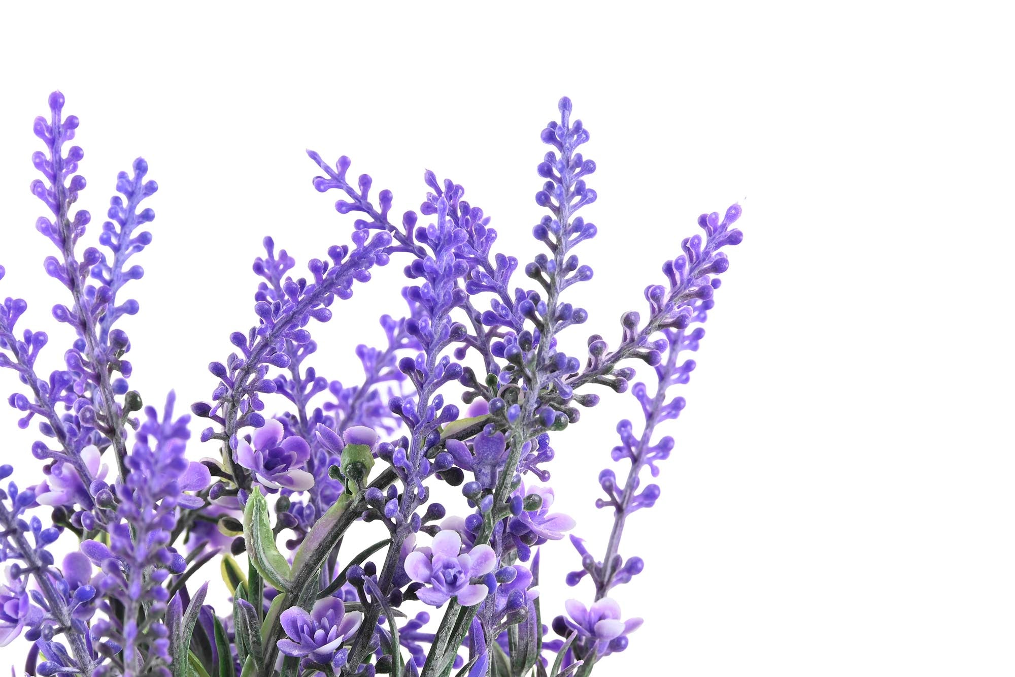 PACK DE 6 PLANTA PE PP 15X15X27 LAVANDA LILA