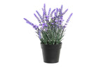 PACK DE 6 PLANTA PE PP 15X15X27 LAVANDA LILA