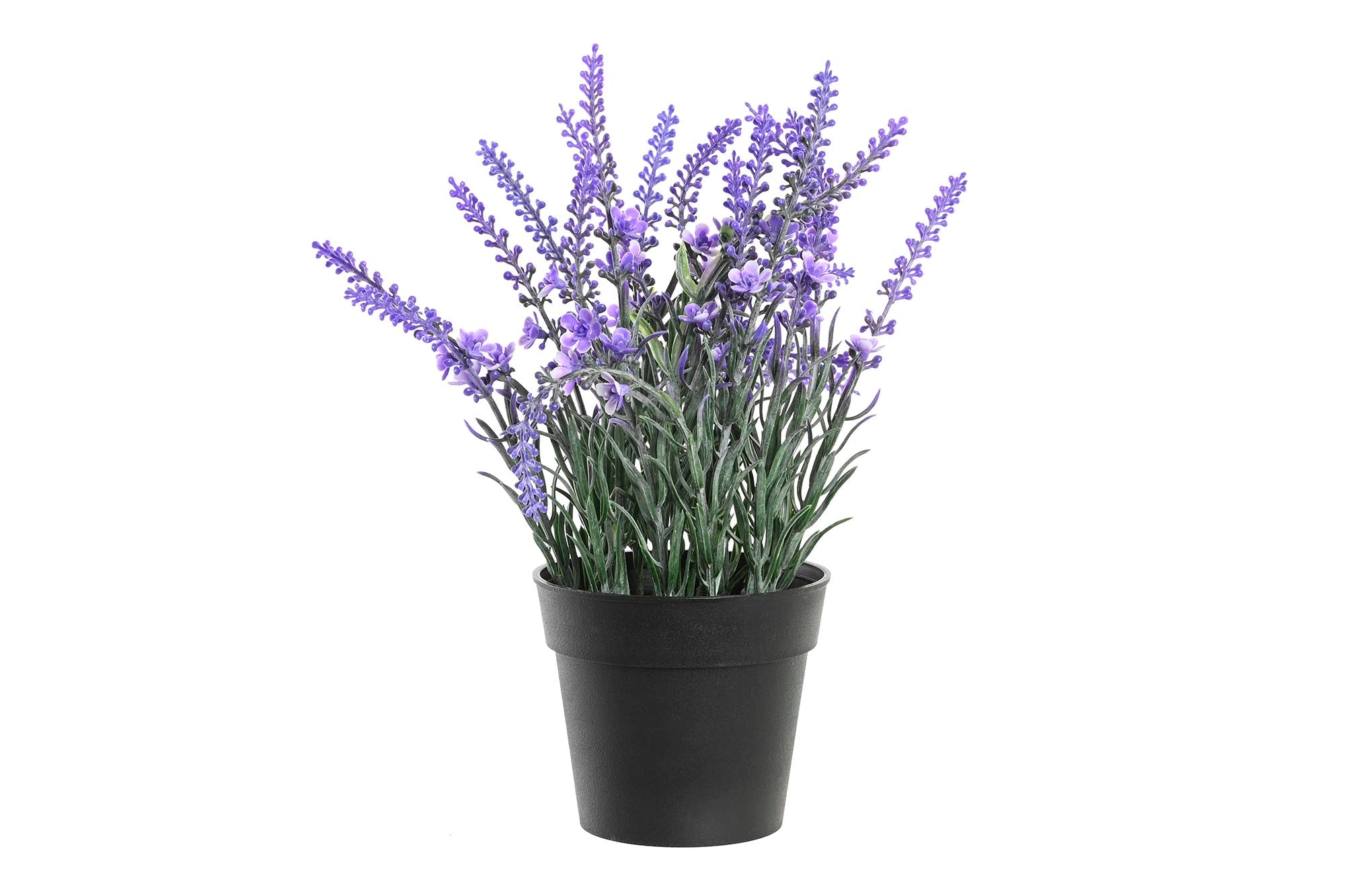 PACK DE 6 PLANTA PE PP 15X15X27 LAVANDA LILA