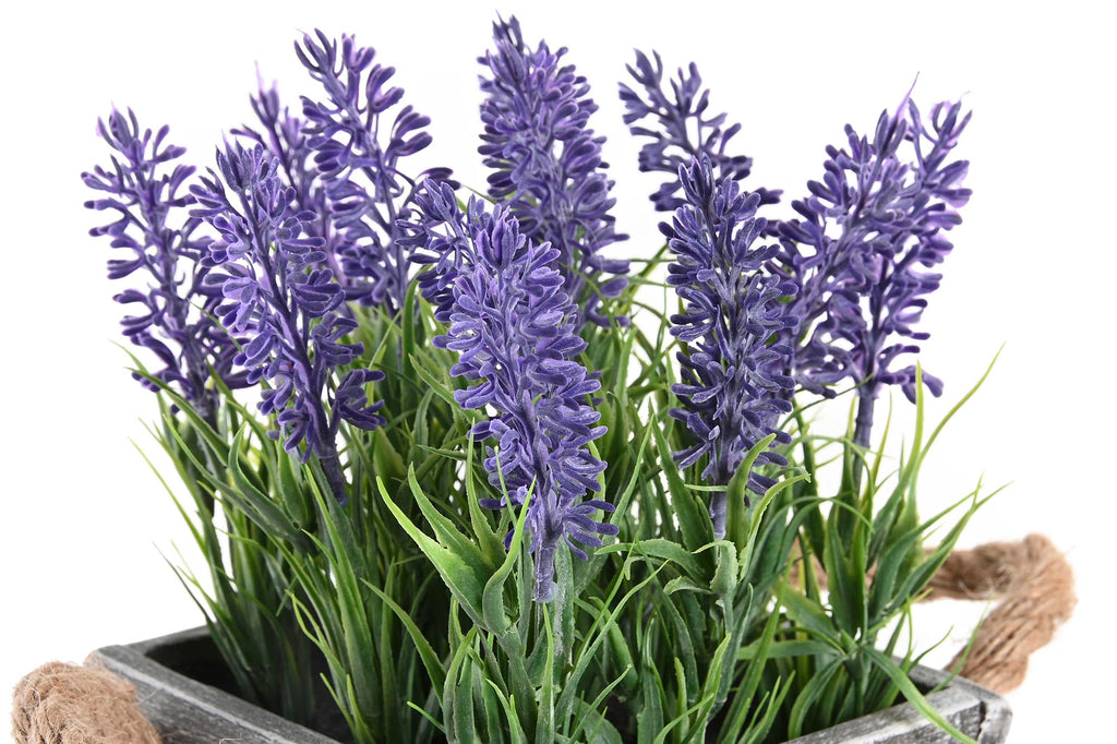 PACK DE 6 PLANTA PE MADERA 15X15X20 LAVANDA LILA
