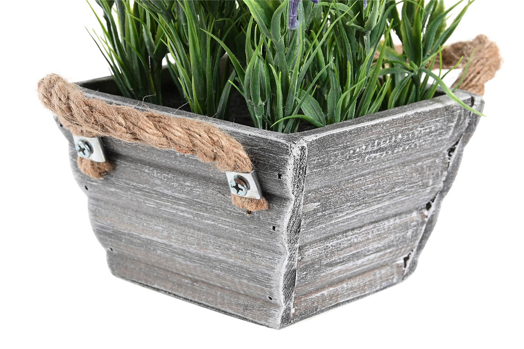 PACK DE 6 PLANTA PE MADERA 15X15X20 LAVANDA LILA