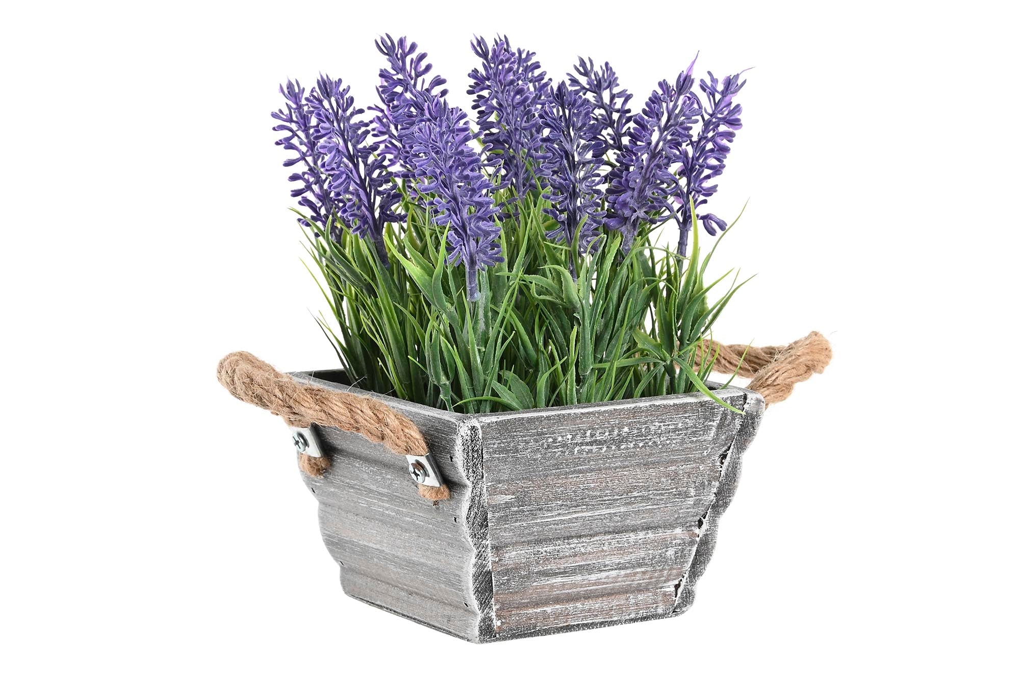 PACK DE 6 PLANTA PE MADERA 15X15X20 LAVANDA LILA