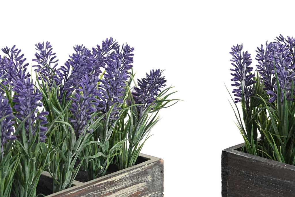 PACK DE 2 PLANTA PE MADERA 32X14X19,5 LAVANDA 2 SURT.