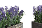 PACK DE 2 PLANTA PE MADERA 32X14X19,5 LAVANDA 2 SURT.