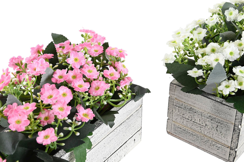 PACK DE 4 PLANTA PE MADERA 24X16X16,5 2 SURT.