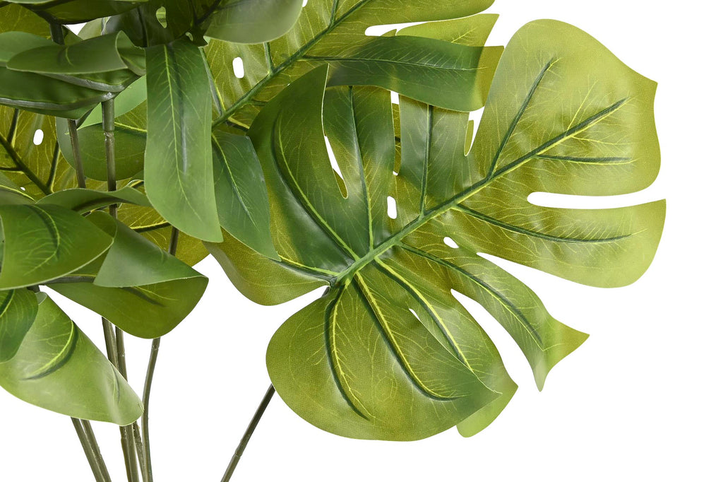 PACK DE 2 PLANTA PE PP 40X30X50 MONSTERA VERDE