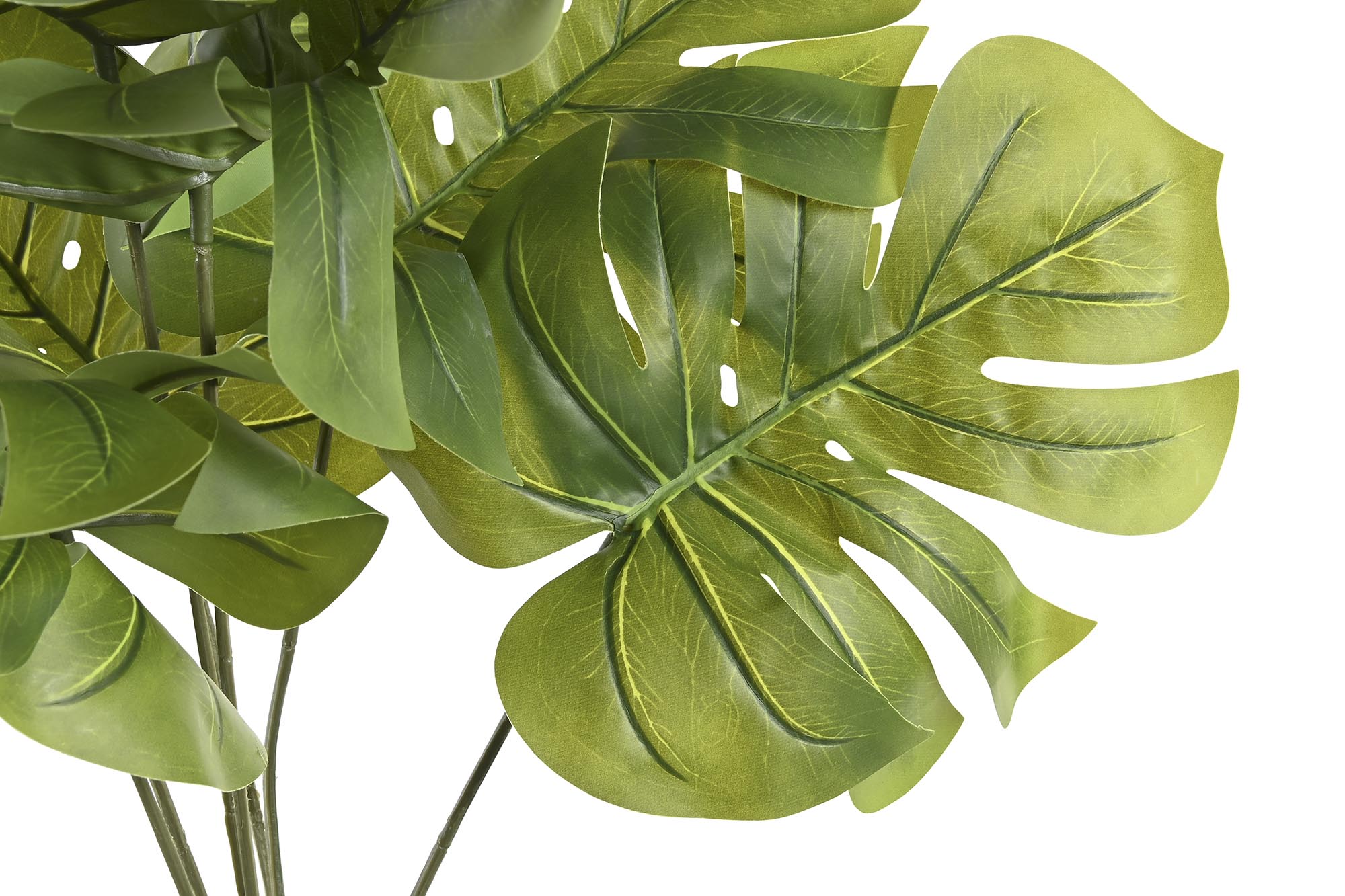 PACK DE 2 PLANTA PE PP 40X30X50 MONSTERA VERDE