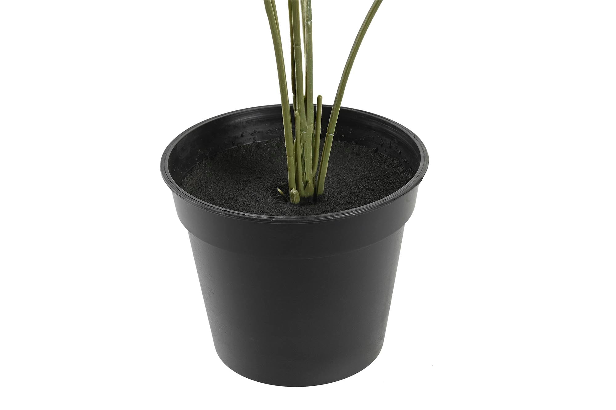 PACK DE 2 PLANTA PE PP 40X30X50 MONSTERA VERDE