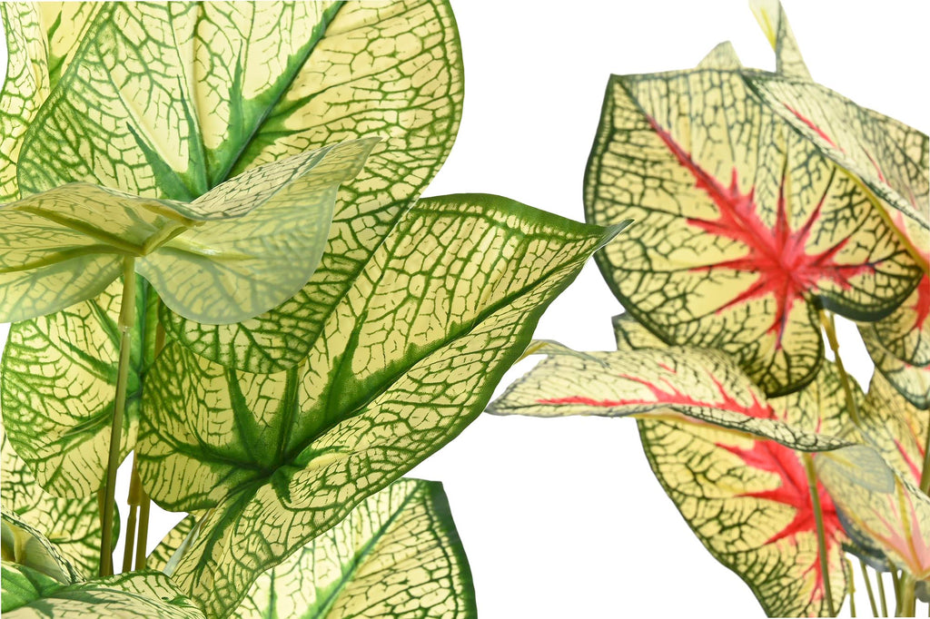 PACK DE 12 PLANTA PE PP 30X43X54 TARO 2 SURT.