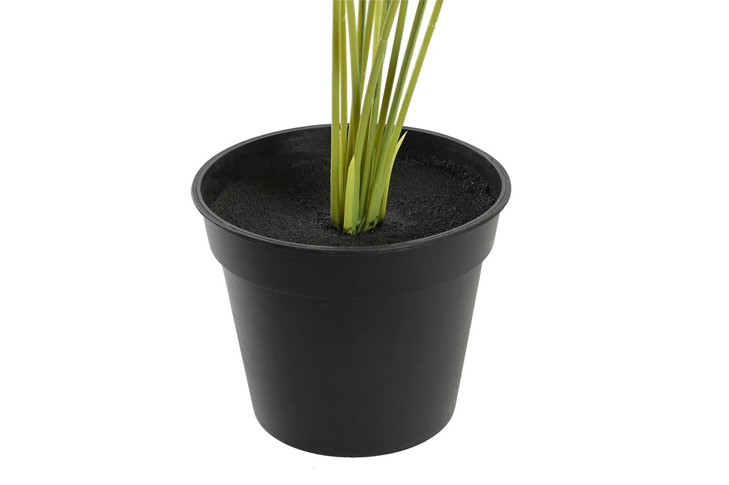 PACK DE 12 PLANTA PE PP 30X43X54 TARO 2 SURT.