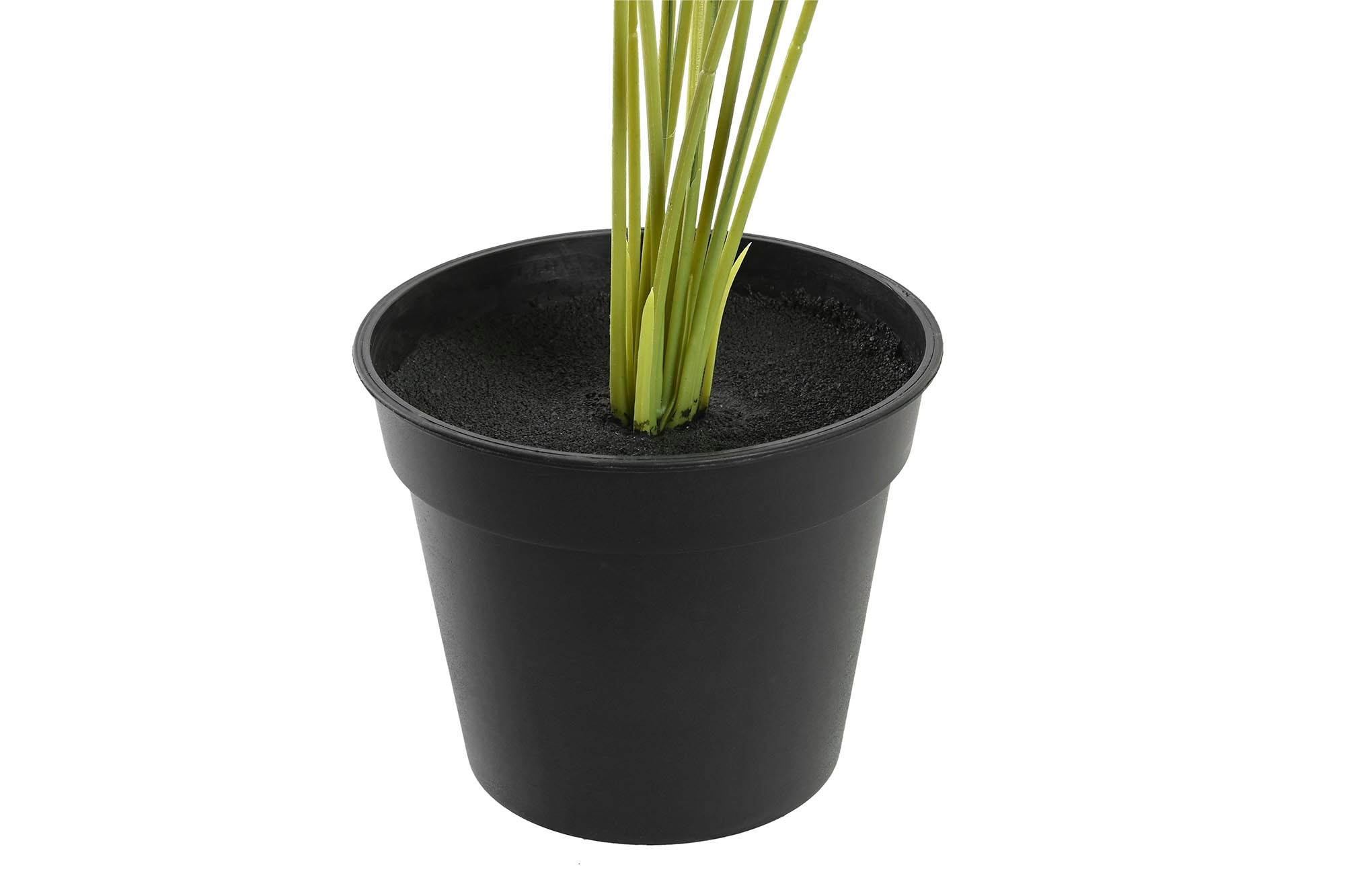 PACK DE 12 PLANTA PE PP 30X43X54 TARO 2 SURT.