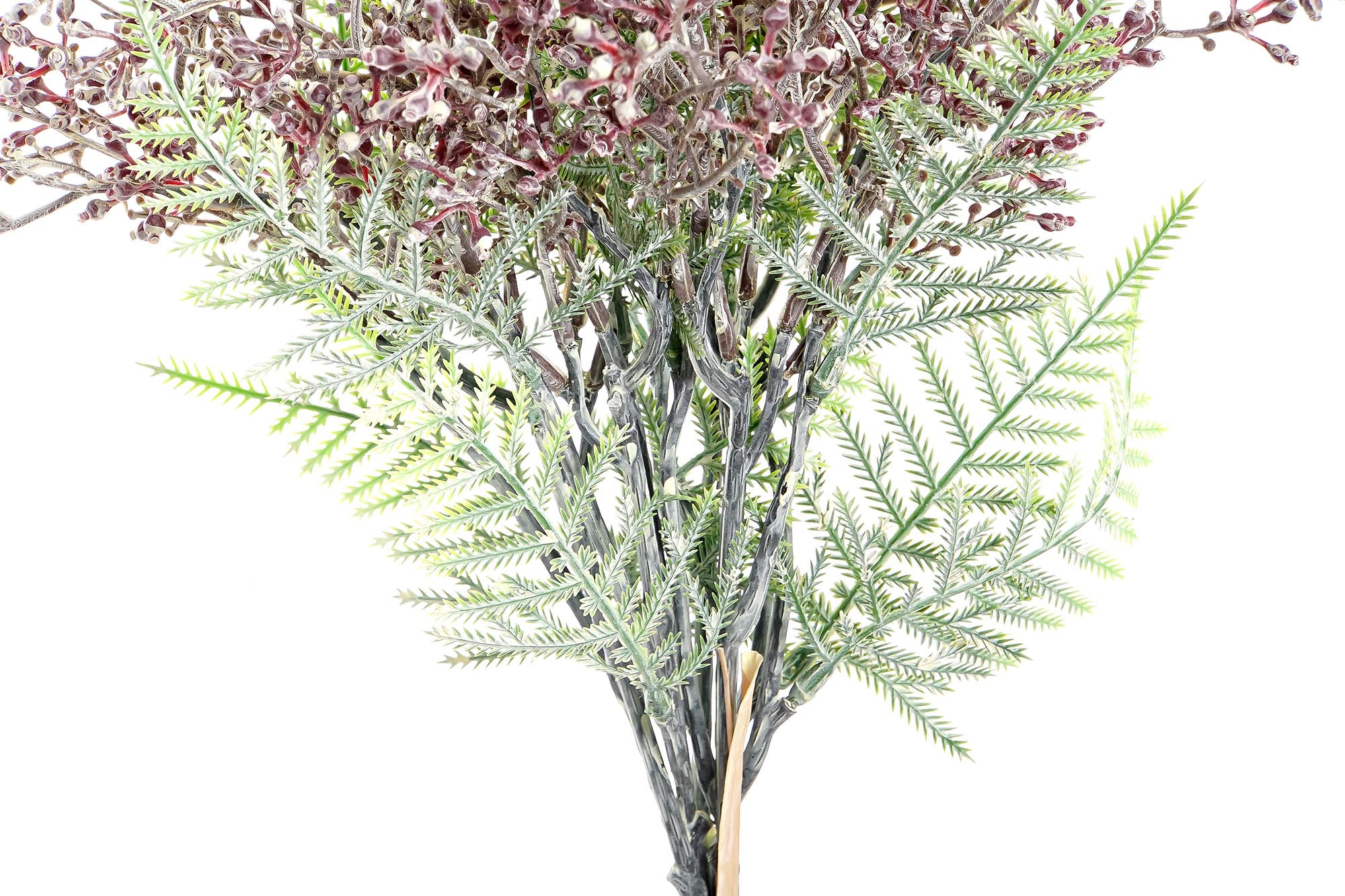 PACK DE 24 RAMO SET 5 PLASTICO 9X9X39 PLANTA DE BAYAS 2 SURT.