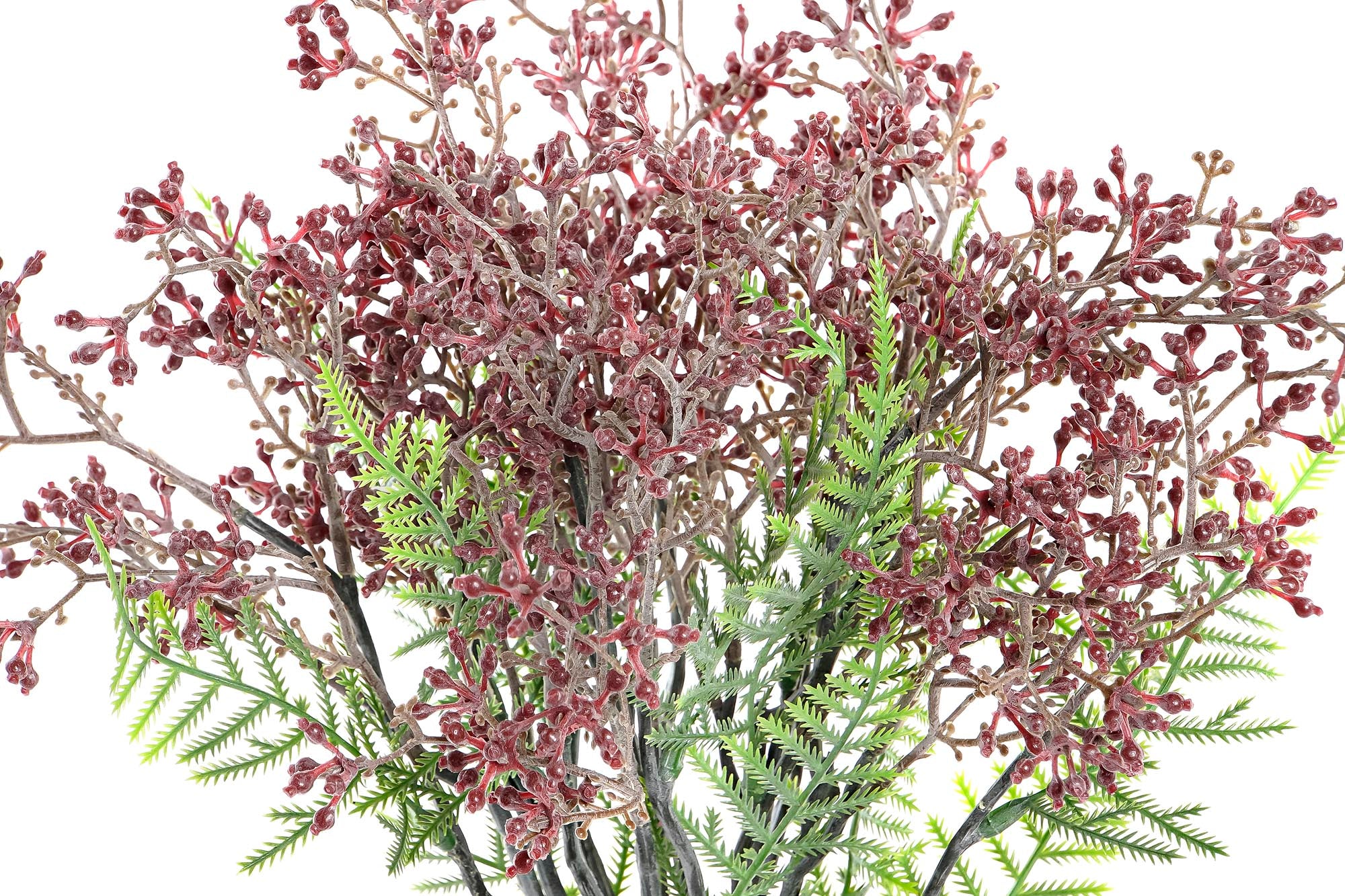 PACK DE 24 RAMO SET 5 PLASTICO 9X9X39 PLANTA DE BAYAS 2 SURT.