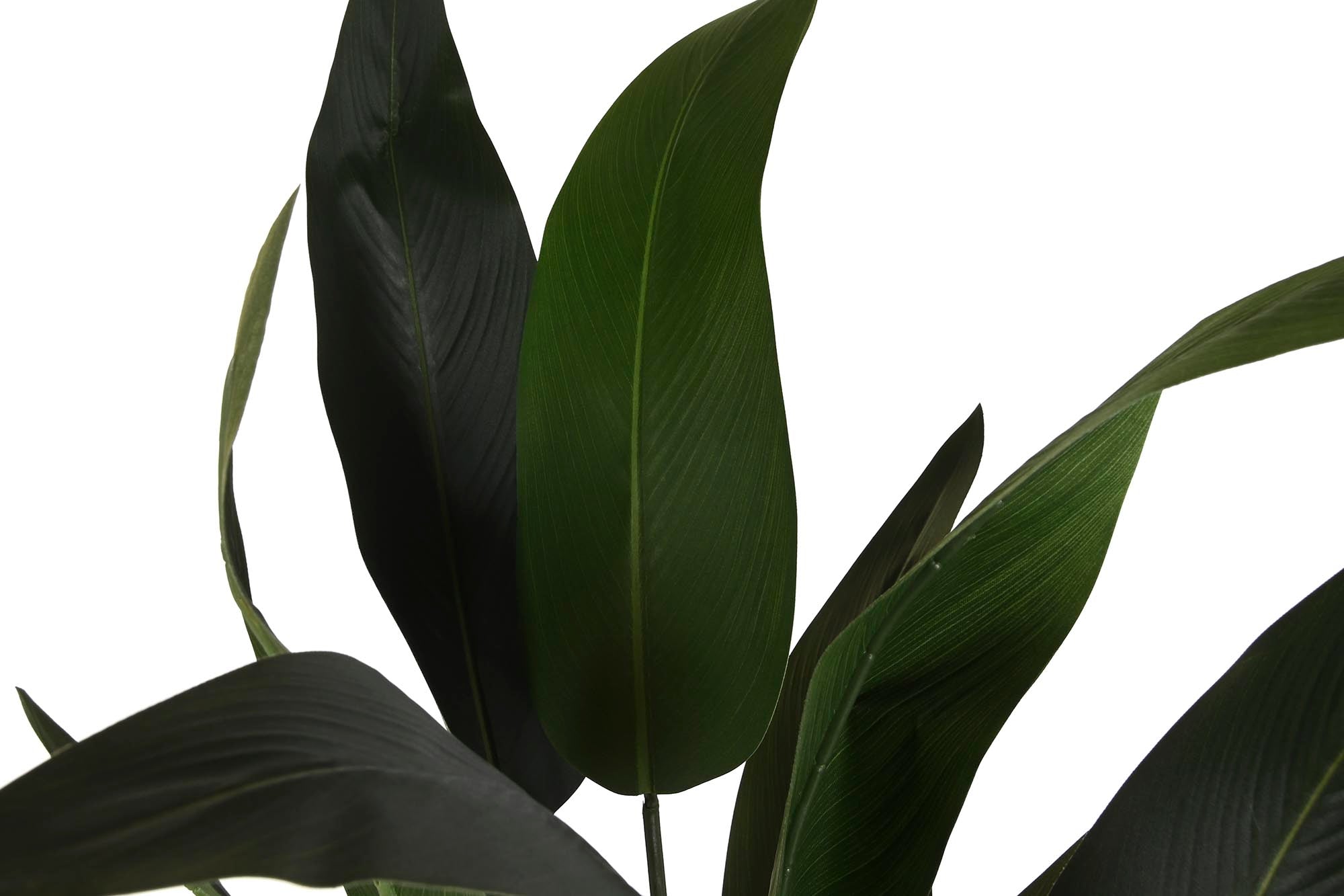 PACK DE 2 PLANTA POLIESTER PP 80X80X180 AVE DE PARAISO VERDE