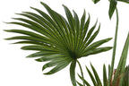 PACK DE 2 PLANTA POLIESTER PP 80X80X180 PALMERA VERDE