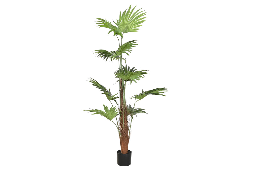 PACK DE 2 PLANTA POLIESTER PP 80X80X180 PALMERA VERDE