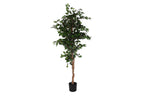 PACK DE 2 ARBOL POLIESTER PP 90X90X180 HIGUERA DE BENGALA