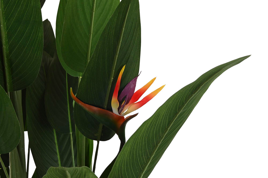 PLANTA POLIESTER PP 90X90X200 AVE DE PARAISO VERDE