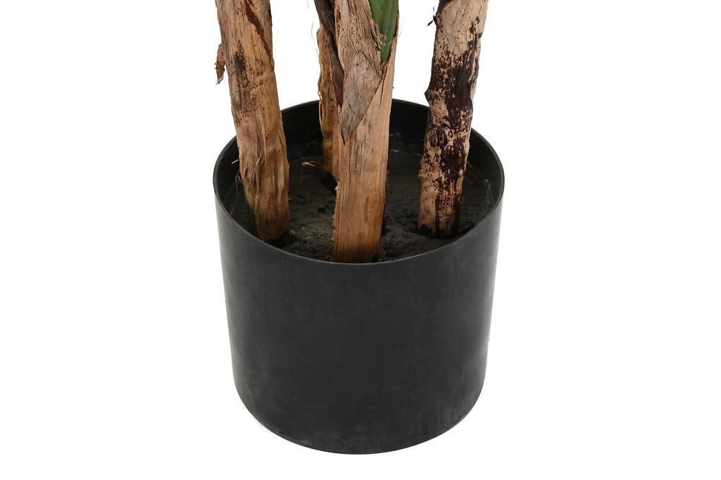 PLANTA POLIESTER PP 90X90X200 AVE DE PARAISO VERDE